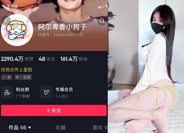 阿尔卑香小狗子ins维秘图怎么样?