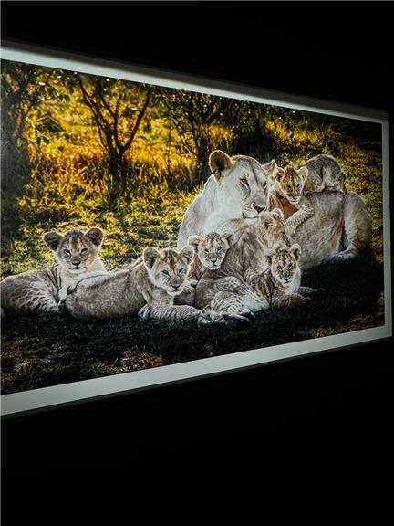 张鑫baby微密圈VIP资源曝光,三套精品图集作品震撼上线