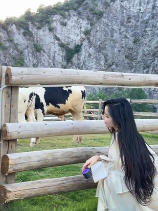 探秘李嘉欣97微密圈门槛圈子，她在微密圈中的规则和特权