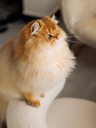 洁己u微密圈全新体验,湖南辣妹的私密生活画面抢先看