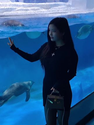 奶雯的圈子是什么?398元嘉宾与2888元VIP资源全解析