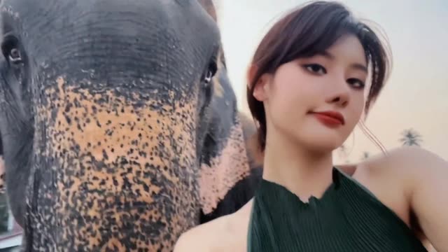 就是阿朱啊的事业成功,探索她的成功之路