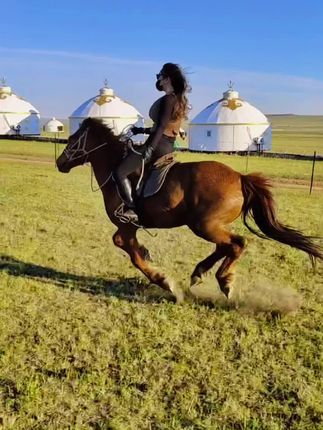 腿模MIYA美腿写真,紧身窄裙的性感全集