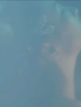 猪小七女帝装图片欣赏,猪小七的霸气造型解析