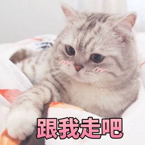 豆奶泡泡微密照片资源怎么回事?-1 豆奶泡泡微密照片资源怎么回事?