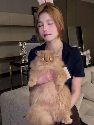 抖音八酱微密圈作品视频完整版,欣赏她超高颜值和才华的开心选择