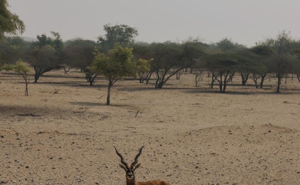 左公子666微博最新图片合集，微密圈的私密生活大揭秘