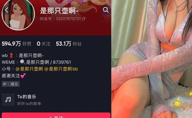 微博是那只壶啊微密weme付费照片合集